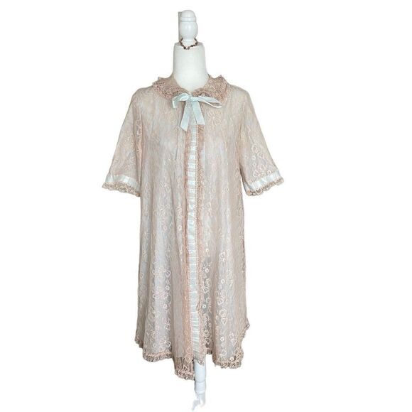 1950s Odette Barsa Lingerie blue and Tan Overlay Nylon Chiffon and Lace robe - Picture 1 of 6